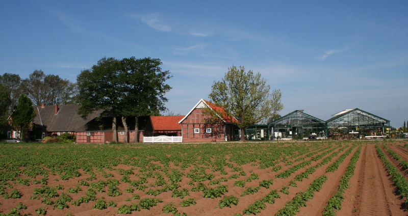 Blumen und Pflanzen Jaeger